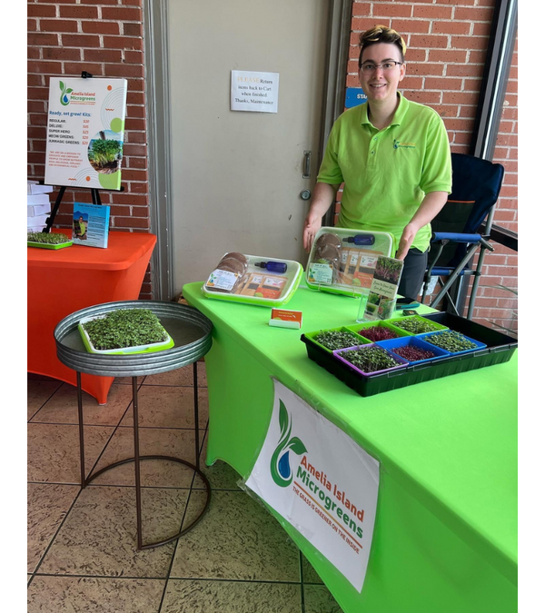 Why I Quit My Microgreens Business  And What I Do Instead