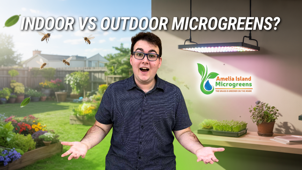 Should You Grow Microgreens Indoors or Outdoors? Pros, Cons, and Hidden Risks