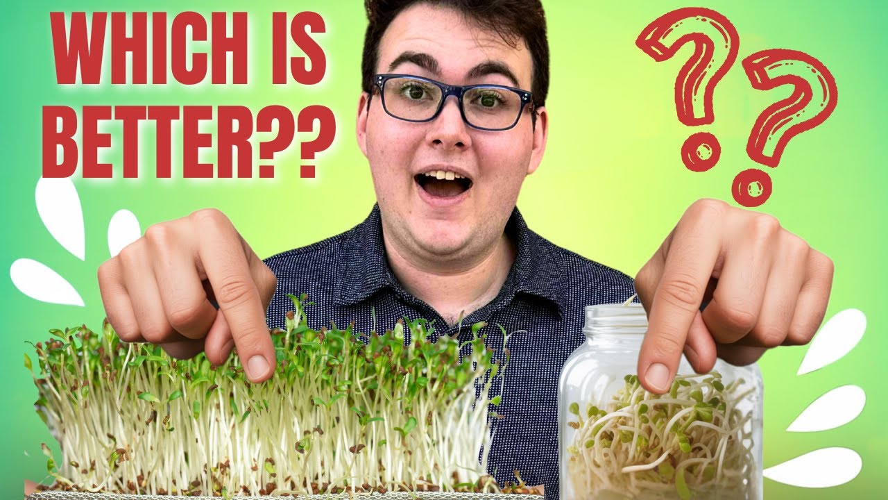 🌱 Why Microgreens Are the #1 Food You Should Be Growing at Home (And the One Mistake That Kills Them)