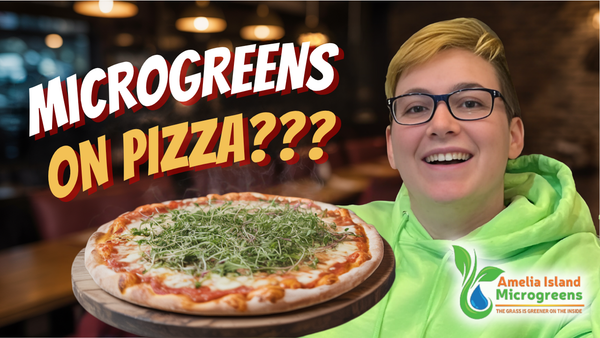 Microgreen Pizza Recipe: Can Microgreens Make Pizza Even Better?