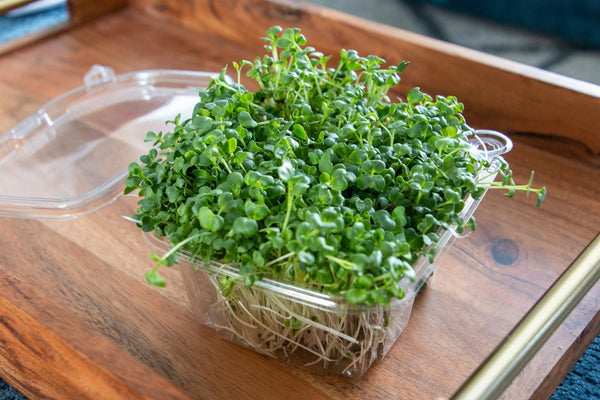 Are Microgreens Actually Good for Gut Health? Here's What the Research Shows