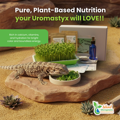 Uromastyx lizard with microgreens and a box labeled 'Pure, Plant-Based Nutrition' on a desert-themed background.