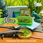 Lizard eating microgreens from a bowl with 'Island Microgreens' branding and promotional text.