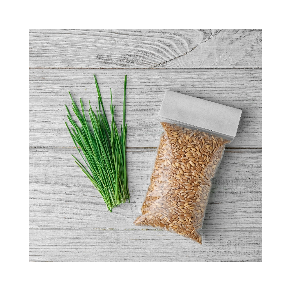 Meow Greens Seed Refill