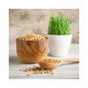 Meow Greens Seed Refill