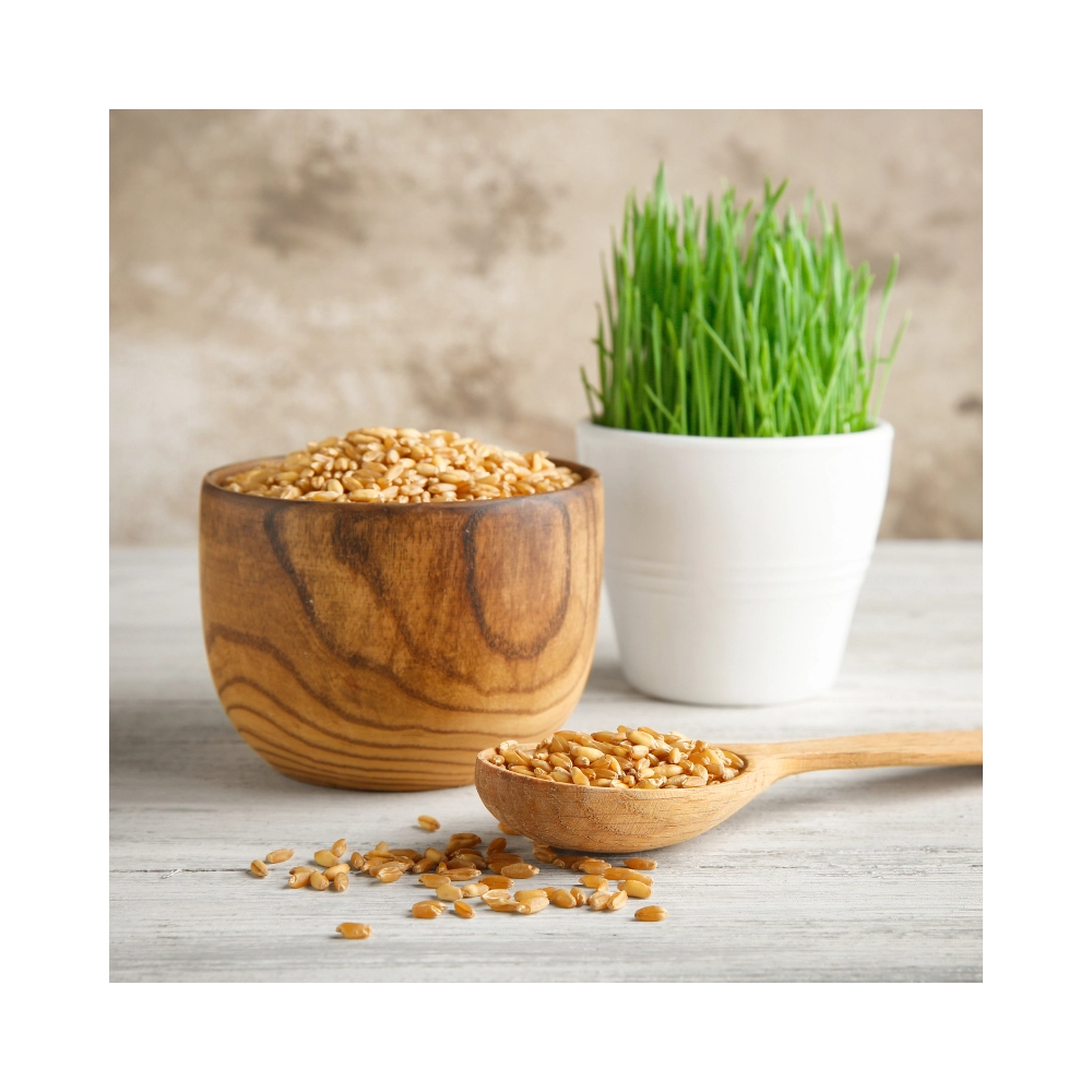 Meow Greens Seed Refill