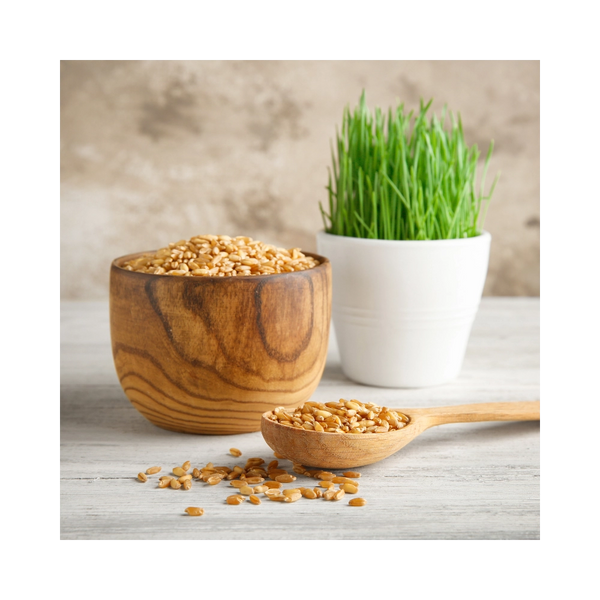 Meow Greens Seed Refill