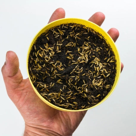 Meow Greens Seed Refill