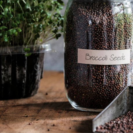 Seed & Soil Refill - 3 crops Monthly Subscription