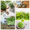 Microgreens Standard Kit