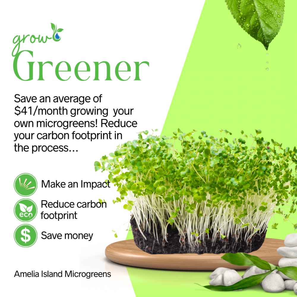 Seed & Soil Refill - 3 crops Monthly Subscription