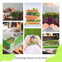 Collage of images showing the preparation and enjoyment of a sandwich with microgreens, including hands preparing ingredients and holding a bowl of salad.