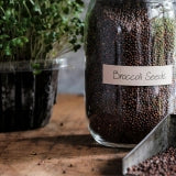 Deluxe Subscription Seed Refills