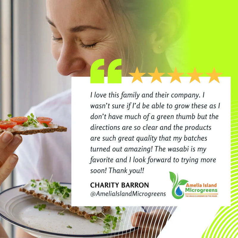 How We Started: Sprouting Success from a Tiny Kitchen! 🌱