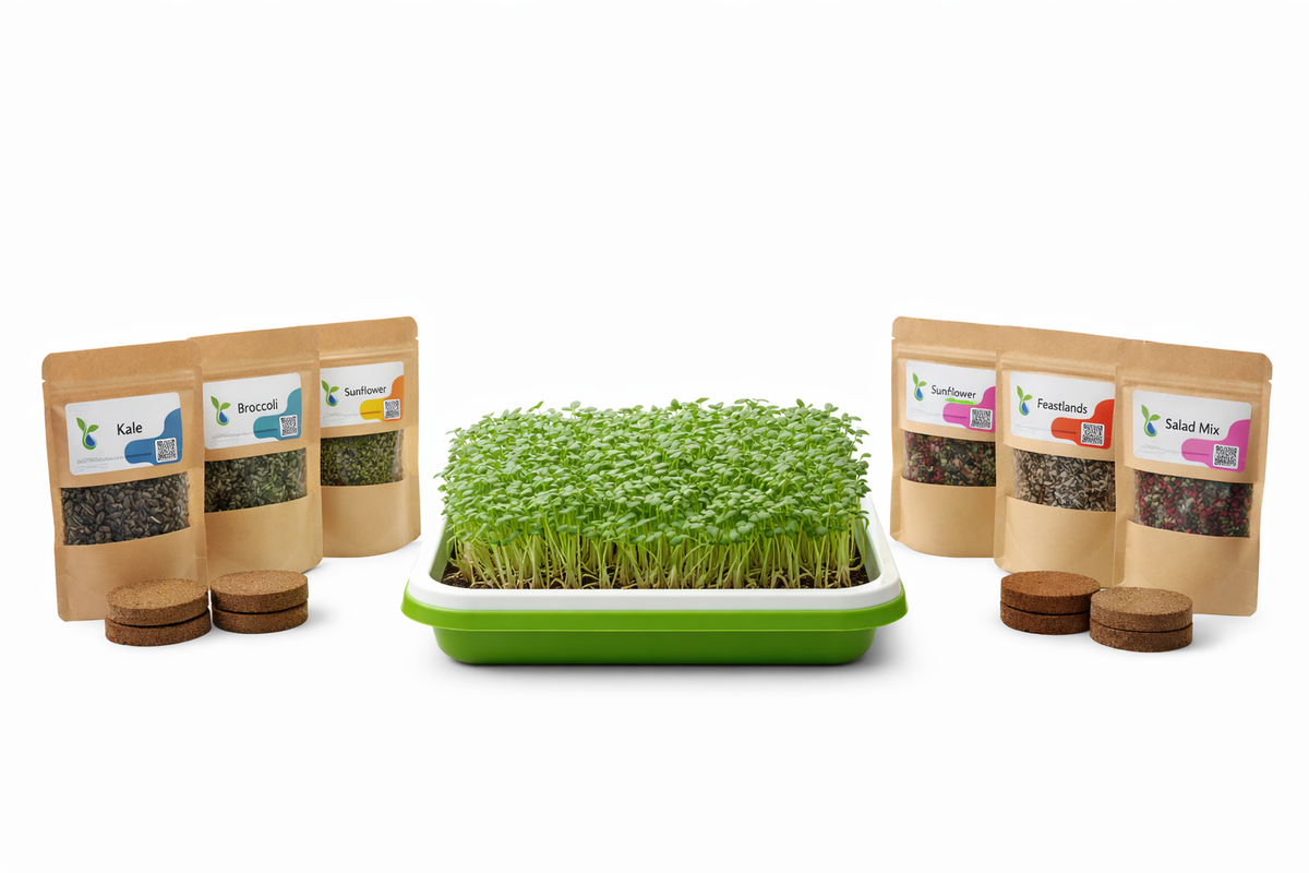 Microgreen growing kit with seed packages on a white background