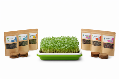 Microgreen growing kit with seed packages on a white background
