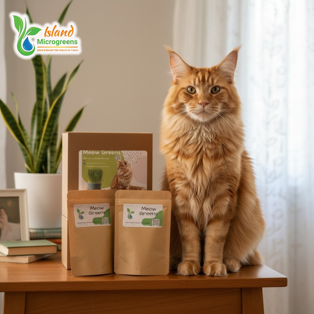 Cat sitting on a table with 'Meow Greens' microgreens packages and Island Microgreens logo.