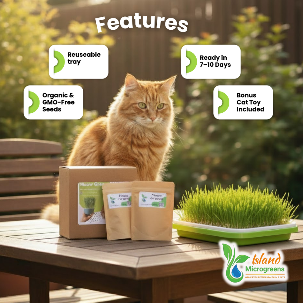 Cat sitting on a table with Island Microgreens products and text highlighting features.