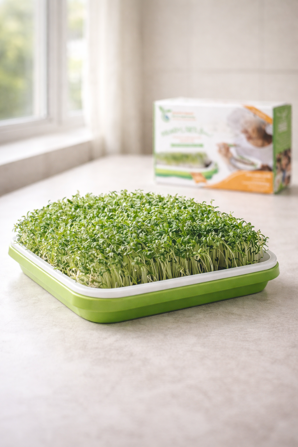 Green tray with sprouts on a light surface, with a box in the background.