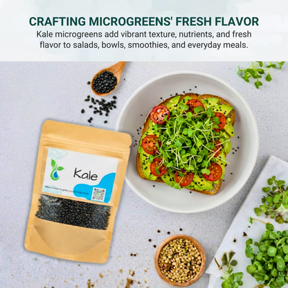 Kale microgreens package with a plate of salad and ingredients on a light surface