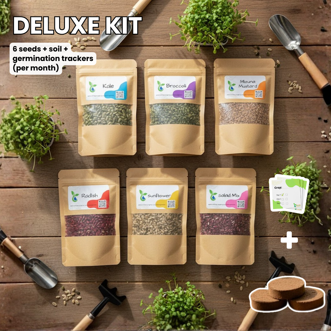 Deluxe gardening kit with seed packages and gardening tools on a wooden surface