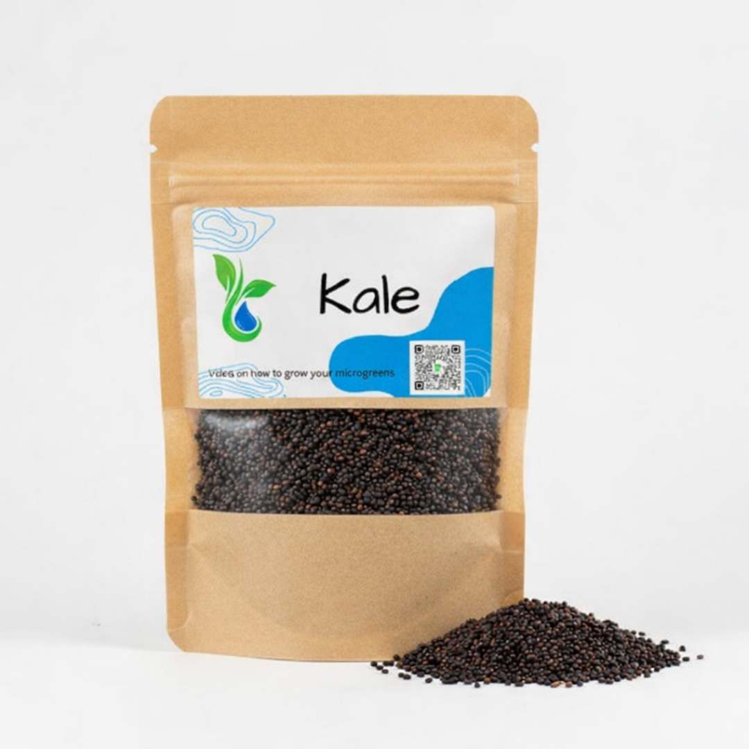 Kale seed packet with seeds spilling out on a white background