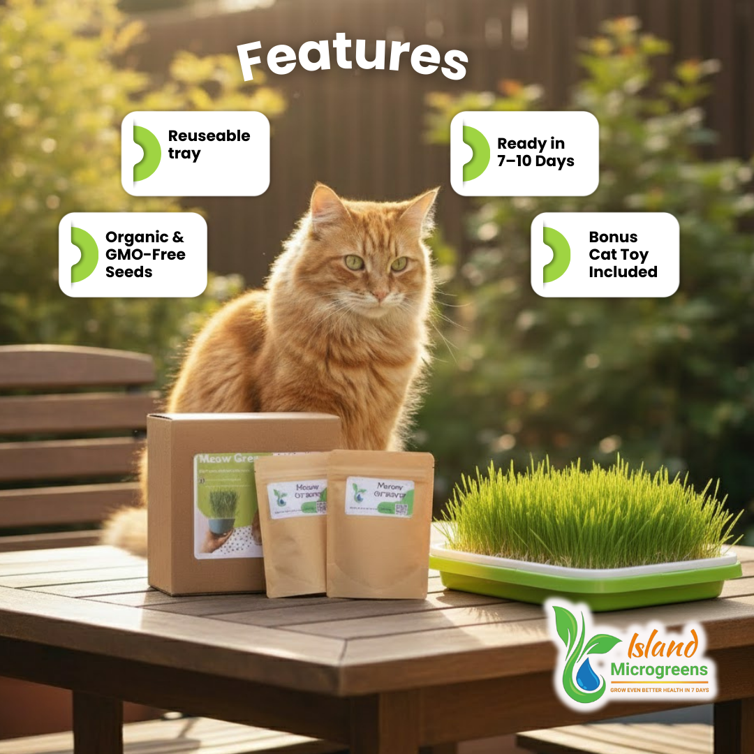 Cat sitting on a table with Island Microgreens products and text highlighting features.