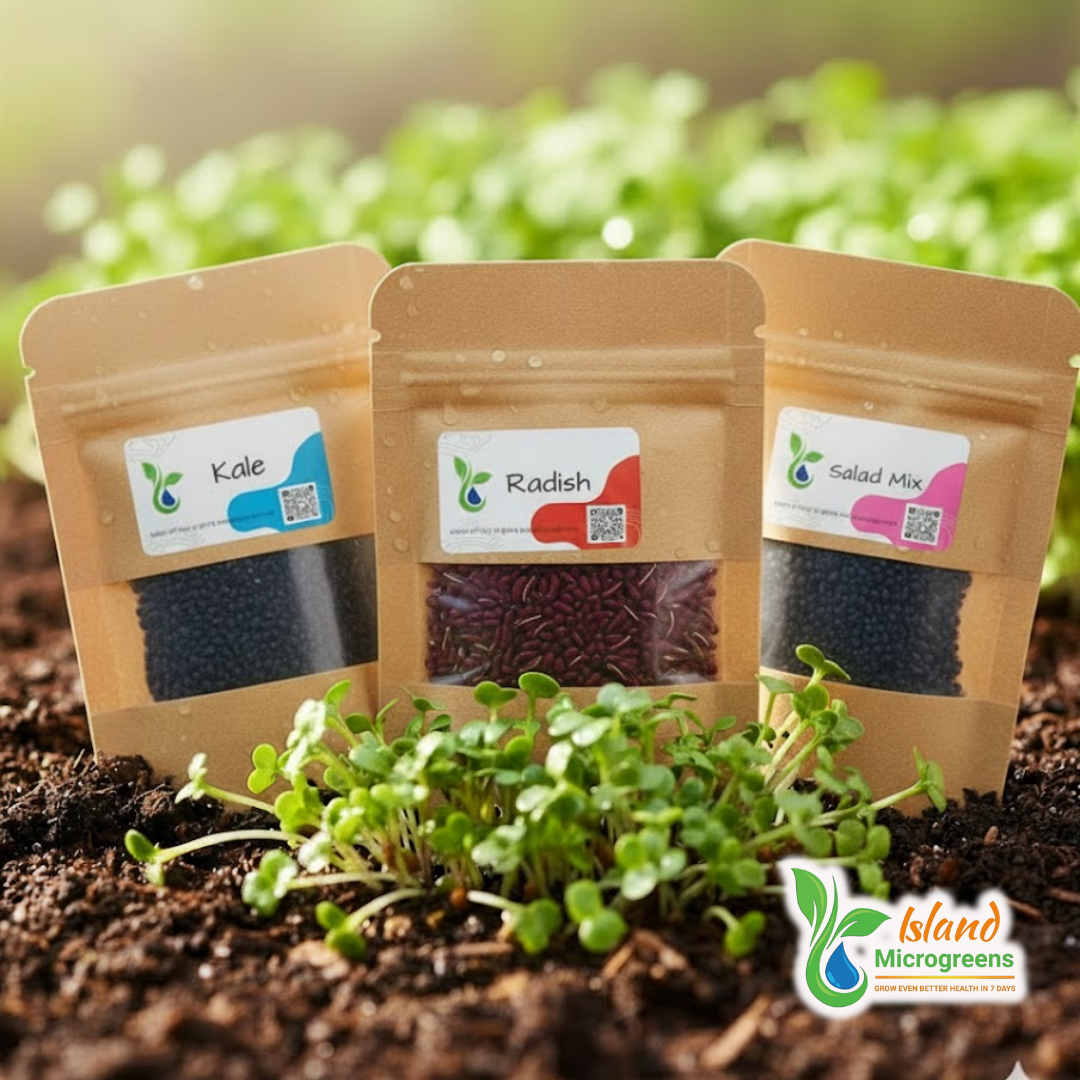 Three packages of Island Microgreens seeds with sprouted microgreens on a soil background.