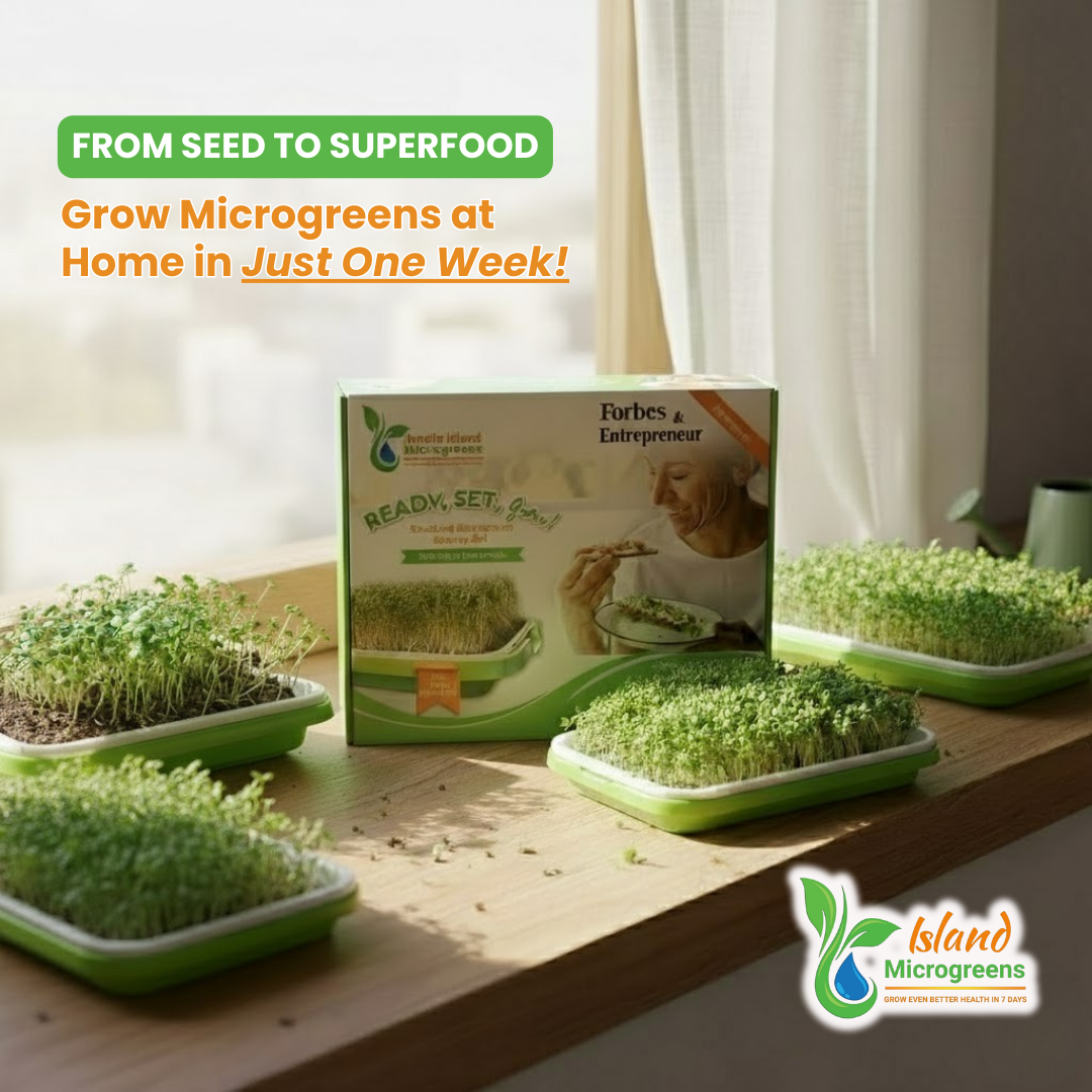 Island Microgreens kit with microgreens on a wooden surface, featuring text about growing microgreens at home.