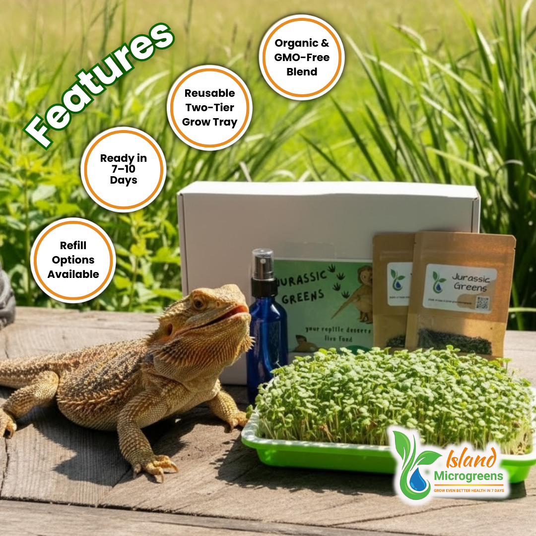 Reptile Microgreens product with a bearded dragon, microgreen grow tray, and branding elements on a natural background