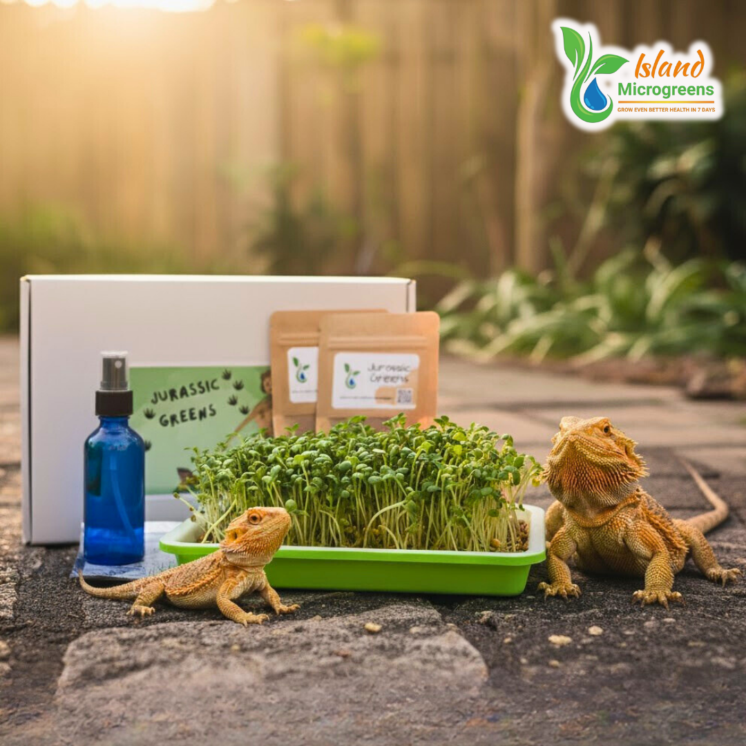 Two lizards with a tray of microgreens and a bottle, set against a blurred natural background with 'reptile Microgreens' branding.