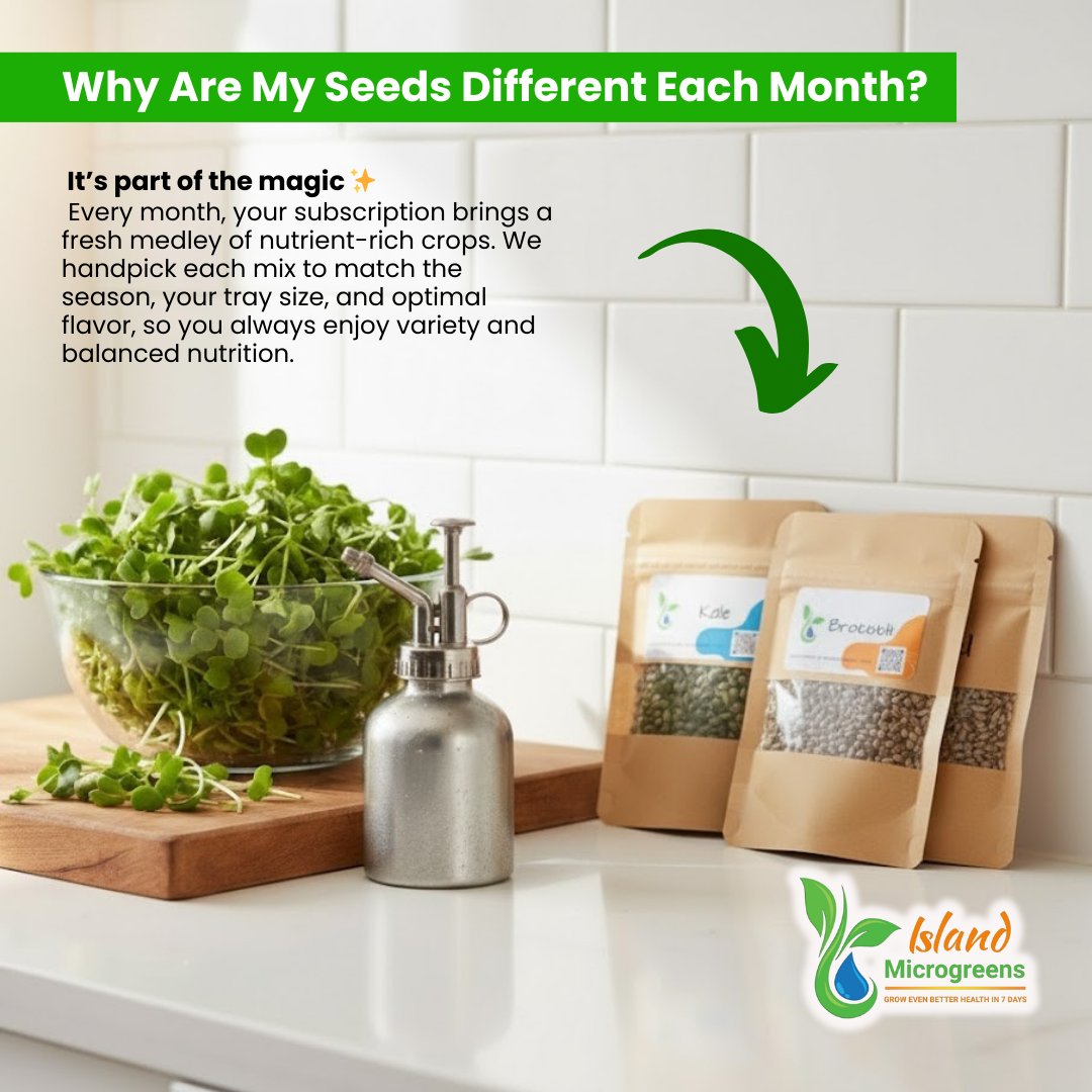 Island Microgreens packages with microgreens and a spray bottle on a white countertop.