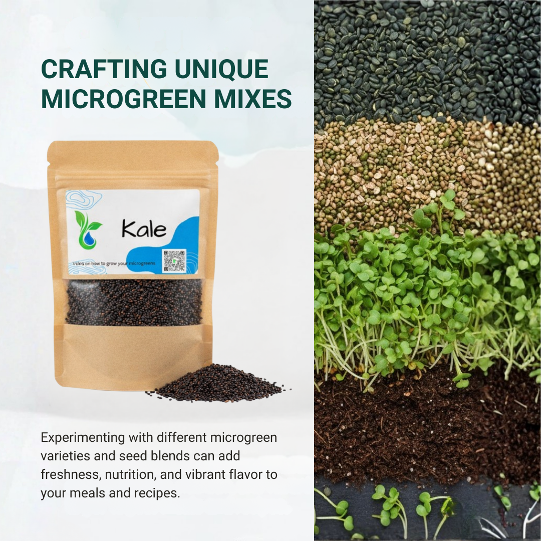 Kale microgreen seeds packaging with microgreens growing on soil