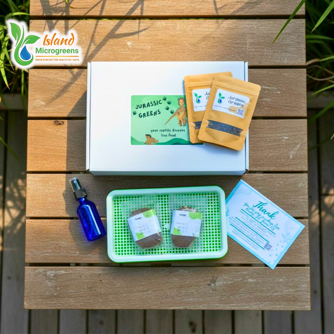 Island Microgreens gardening kit with seed packets, spray bottle, and tray on a wooden surface.