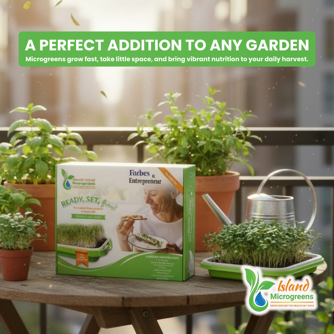 Forbes and Entrepreneur Island microgreens kit with potted plants on a table outdoors.