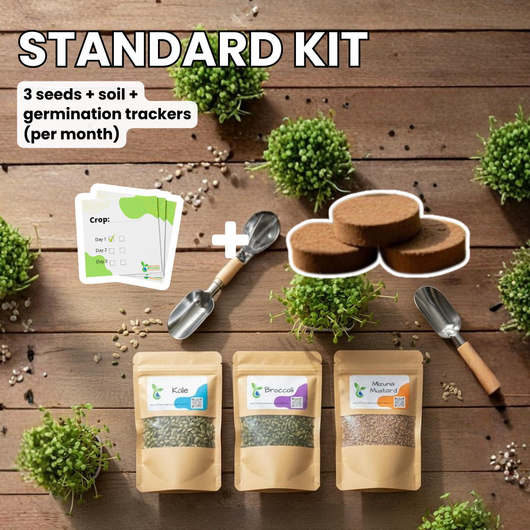 Gardening kit with seeds, soil, and tools on a wooden surface