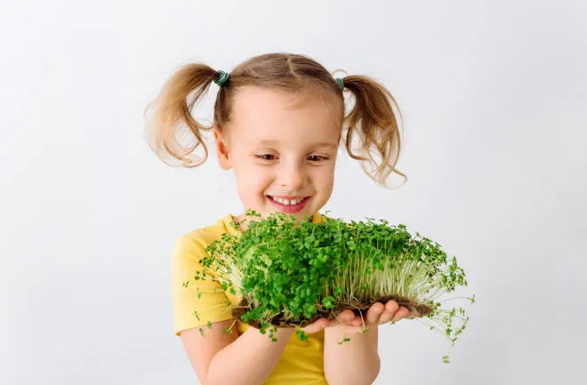 Child holding a bunch of green microgreens against a white background
