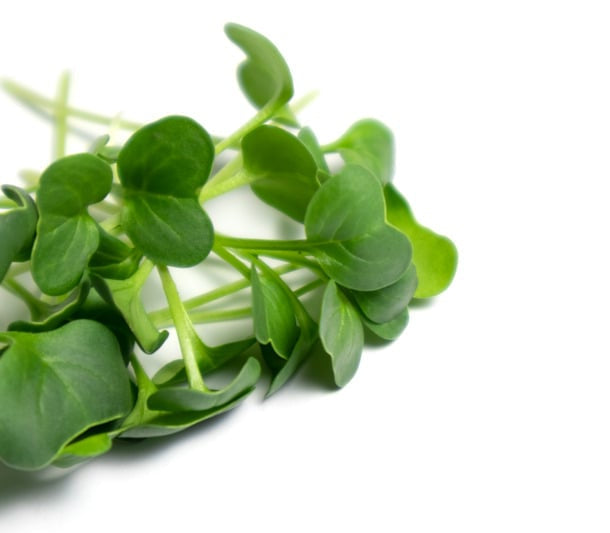 Rich text section image